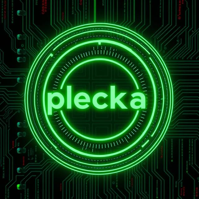 Plecka Neural Interface